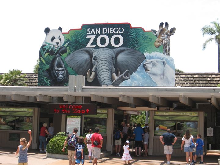 Spotlight on: San Diego Zoo