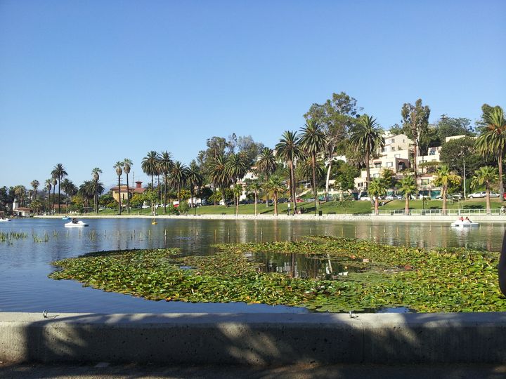 Tell Me Everything About: The Echo Park Swan Boat Night Ride